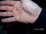 thumb_100_2377.jpg